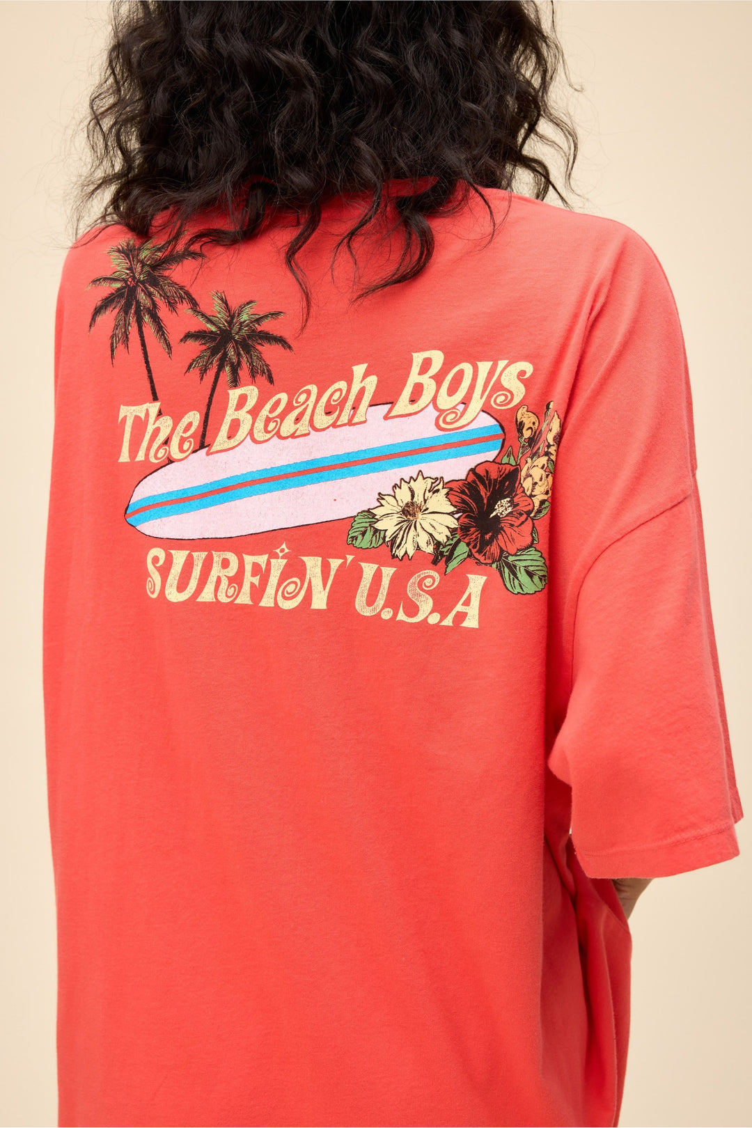 The Beach Boys Surfin USA