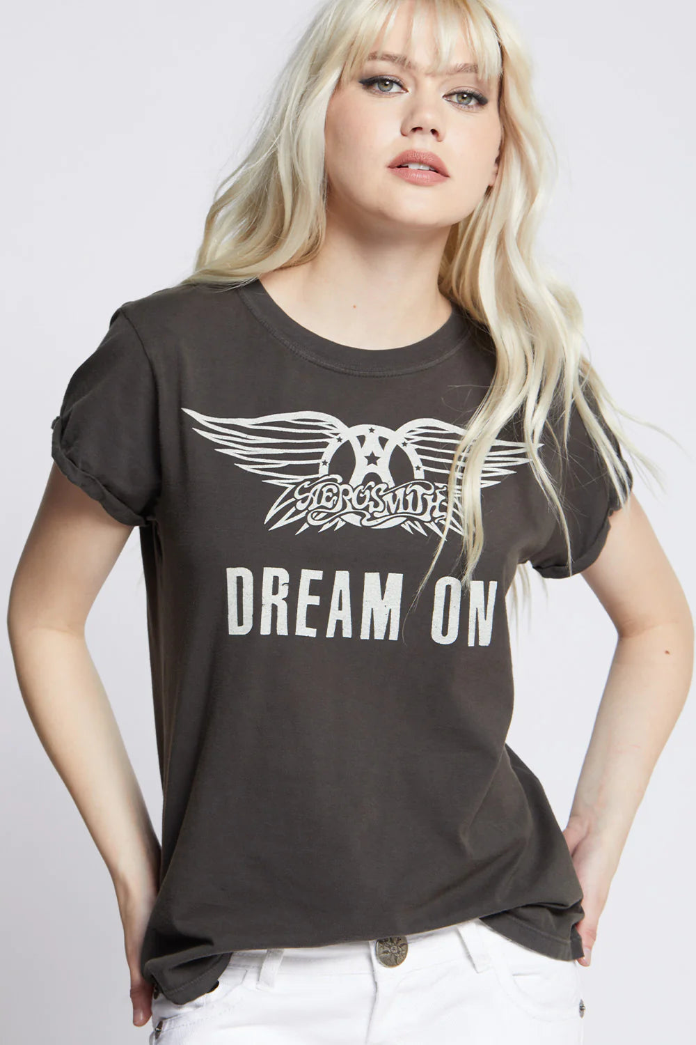 Aerosmith Dream On